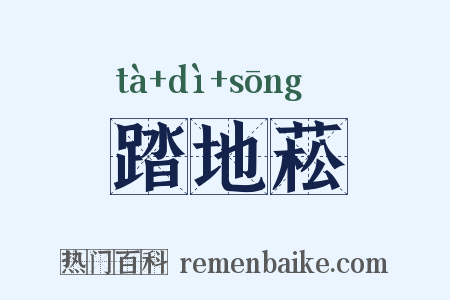 踏地菘是什么意思的图片